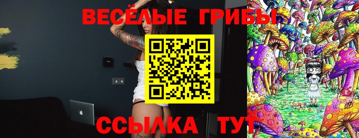 МЕТАДОН  Котовск  ЭКСТАЗИ  МДМА  Мефедрон кристаллы  Бошки Шишки  Вход с VPN  ГАШИШ 